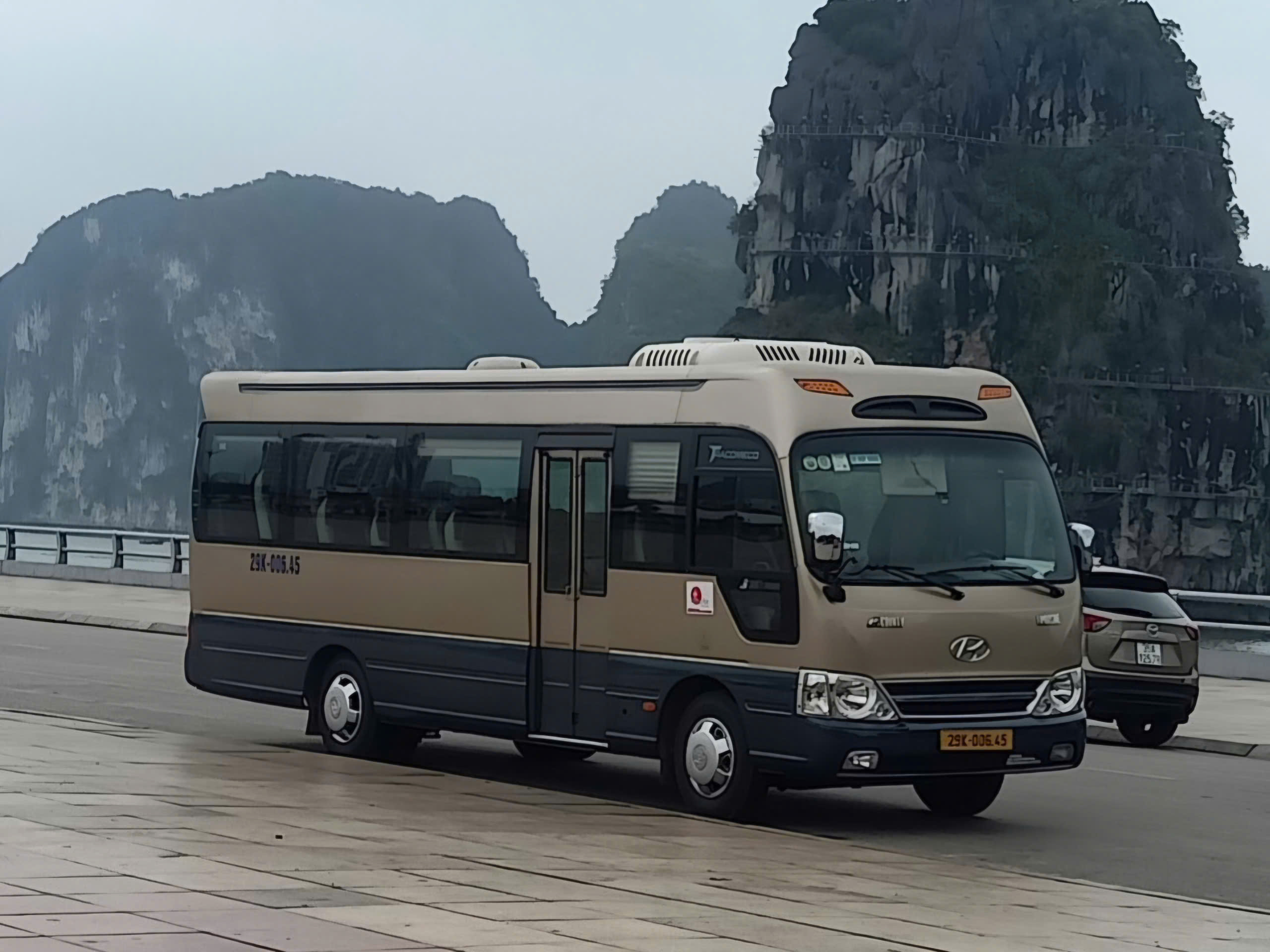 Thuê xe 29 chỗ